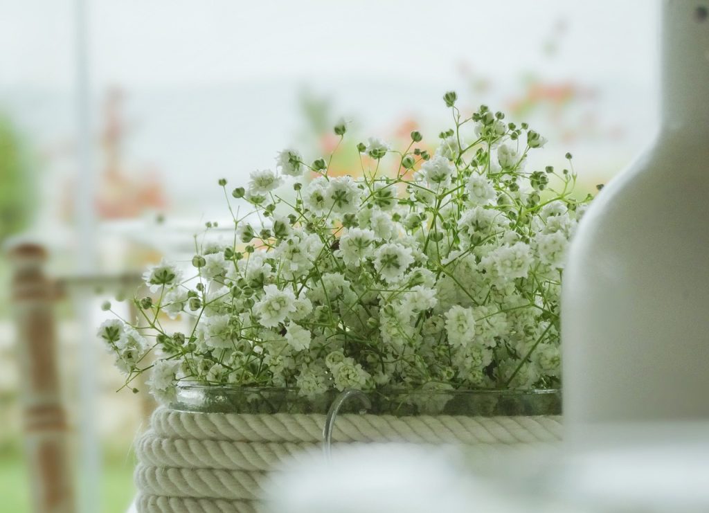 Foto relacionado con envases para el sector alimentario en Pacs del Penedès (Barcelona)
