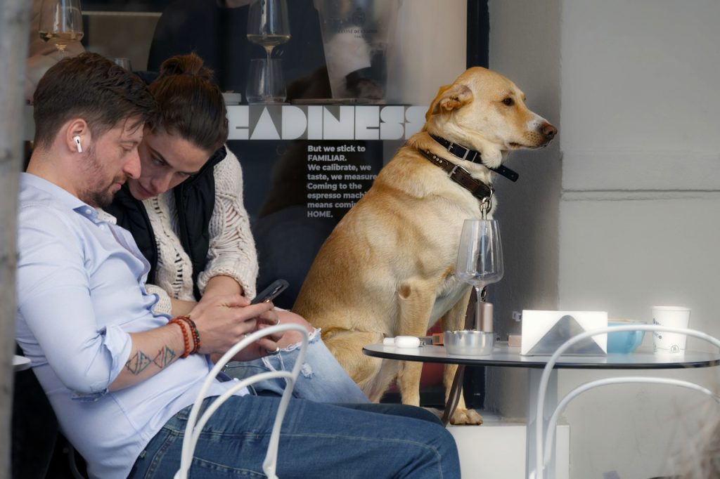 Ejemplo relacionado con embalajes para comida en El Saucejo (Sevilla)